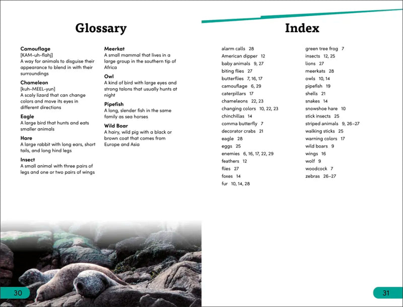 DK Super Readers Level 3 Animal Hide and Seek US - Paperback / softback