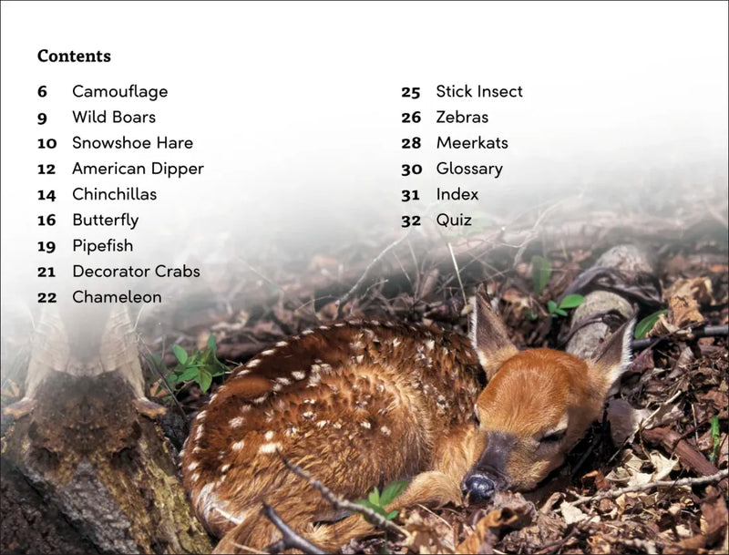 DK Super Readers Level 3 Animal Hide and Seek US - Paperback / softback