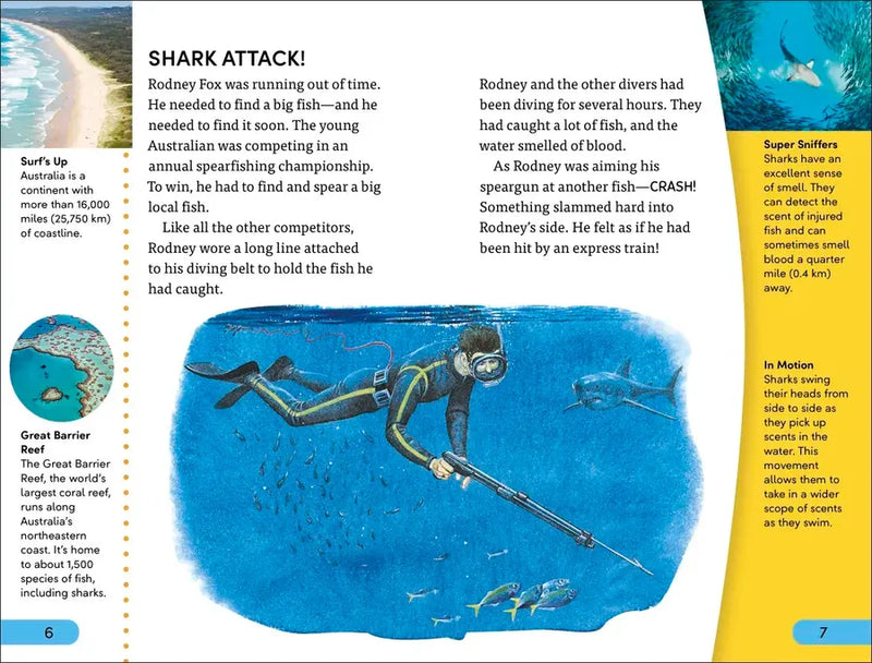 DK Super Readers Level 4 Shark Attack US - Hardback