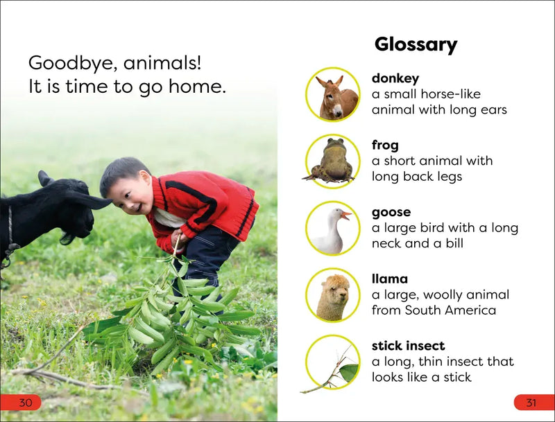 DK Super Readers Pre-Level A Day at the Petting Zoo US - Hardback