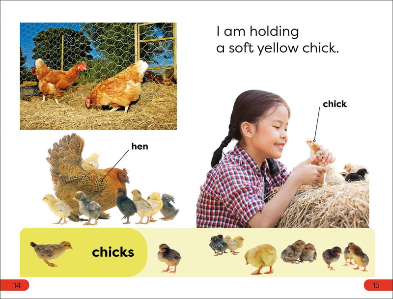 DK Super Readers Pre-Level A Day at the Petting Zoo US - Paperback / softback
