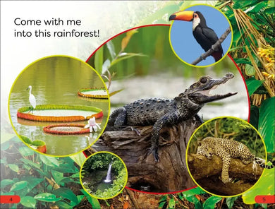 DK Super Readers Pre-Level Into the Rainforest US - Hardback