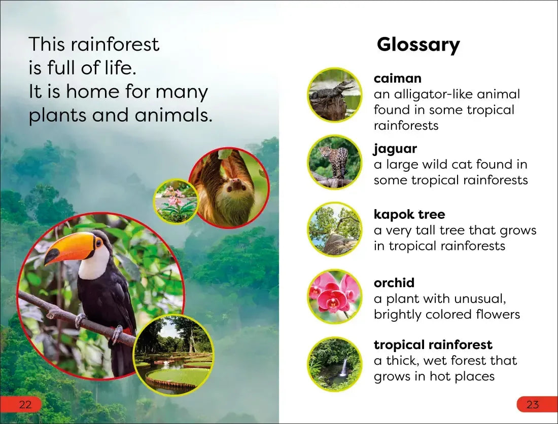 DK Super Readers Pre-Level Into the Rainforest US - Hardback