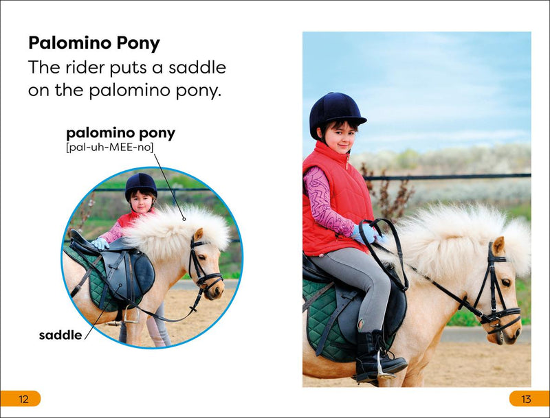 DK Super Readers Level 1 Ponies and Horses US - Paperback / softback