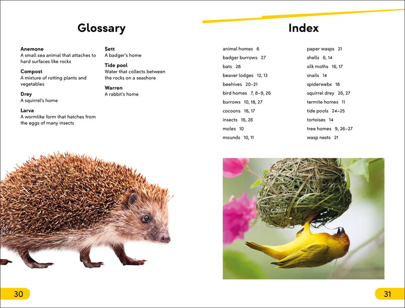 DK Super Readers Level 2 Animals at Home US - Hardback