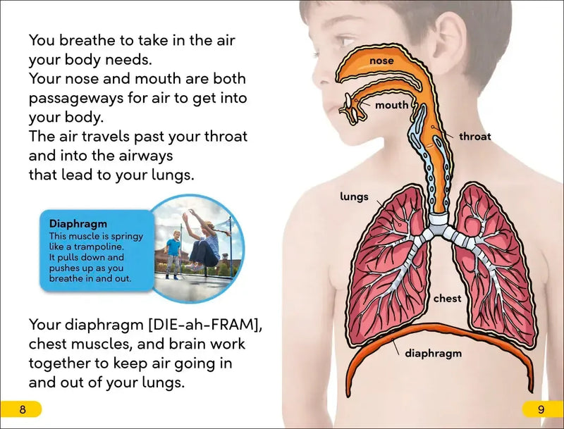 DK Super Readers Level 2 Sniffles, Sneezes, Hiccups, and Coughs US - Paperback / softback