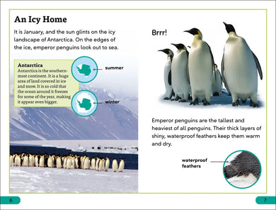 DK Super Readers Level 3 Emperor Penguins US - Paperback / softback