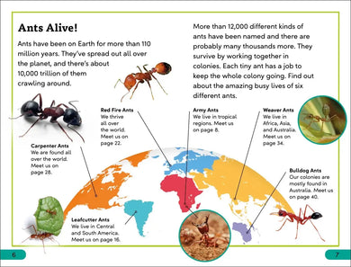 DK Super Readers Level 3 Ant Antics US - Paperback / softback