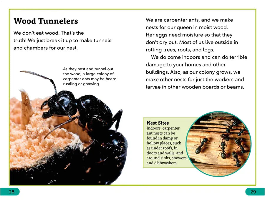DK Super Readers Level 3 Ant Antics US - Paperback / softback