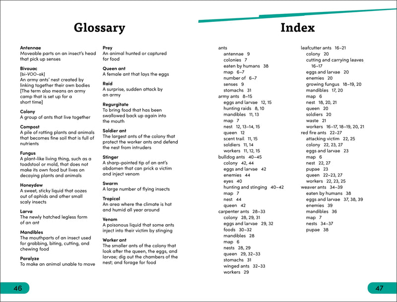 DK Super Readers Level 3 Ant Antics US - Paperback / softback