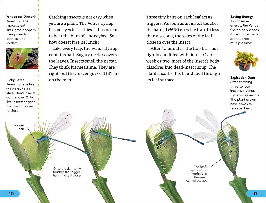 DK Super Readers Level 4 Plants Bite Back US - Hardback