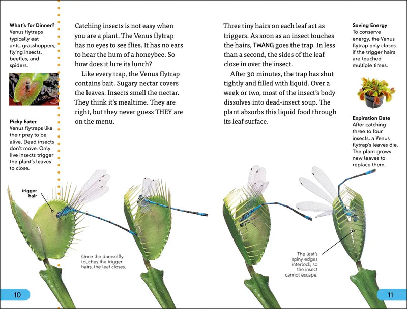 DK Super Readers Level 4 Plants Bite Back US - Hardback