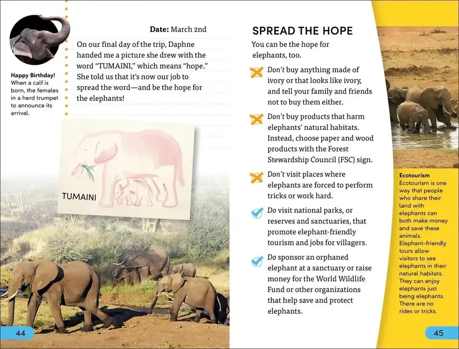 DK Super Readers Level 4 Hope for the Elephants US - Hardback