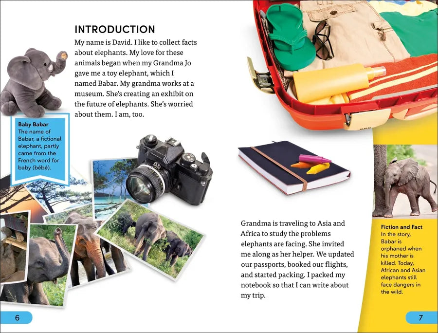 DK Super Readers Level 4 Hope for the Elephants US - Paperback / softback