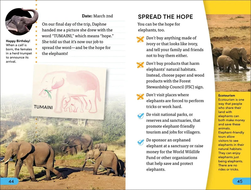 DK Super Readers Level 4 Hope for the Elephants US - Paperback / softback