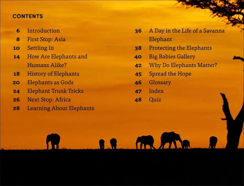 DK Super Readers Level 4 Hope for the Elephants US - Paperback / softback