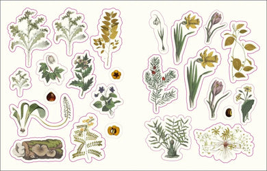 The Forests, Fairies and Fungi Sticker Anthology US - Hardback