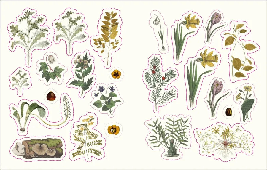 The Forests, Fairies and Fungi Sticker Anthology US - Hardback