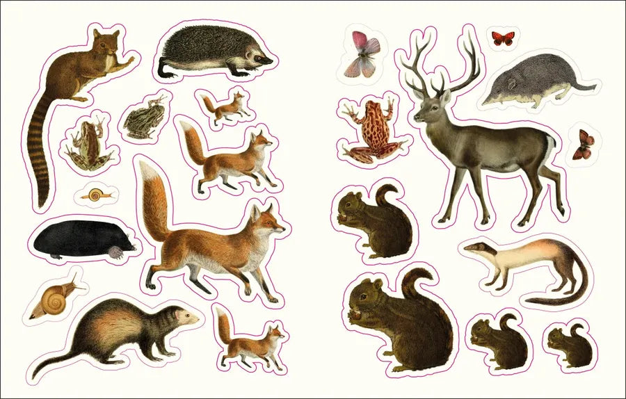 The Forests, Fairies and Fungi Sticker Anthology US - Hardback