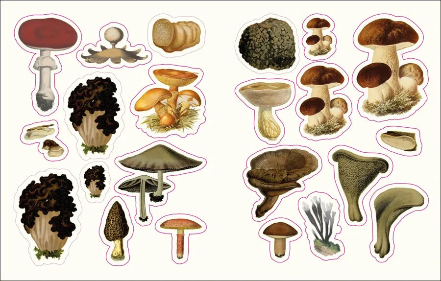 The Forests, Fairies and Fungi Sticker Anthology US - Hardback