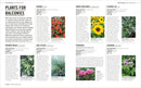 Grow Small Gardens US - Paperback / softback