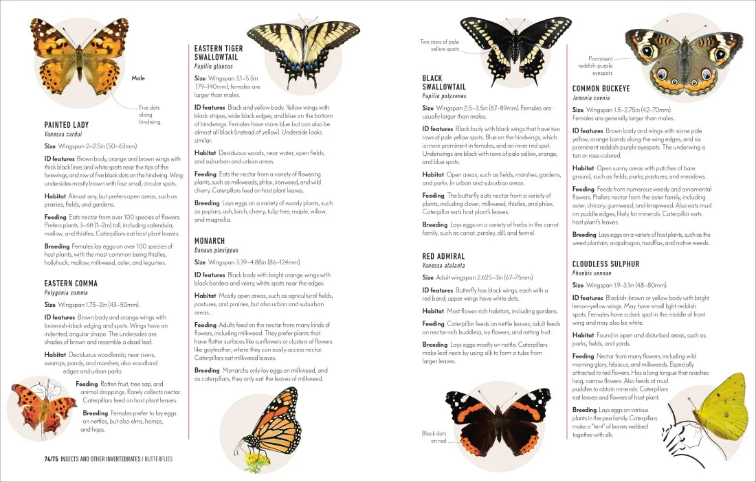 How to Attract Wildlife to Your Garden US - Hardback