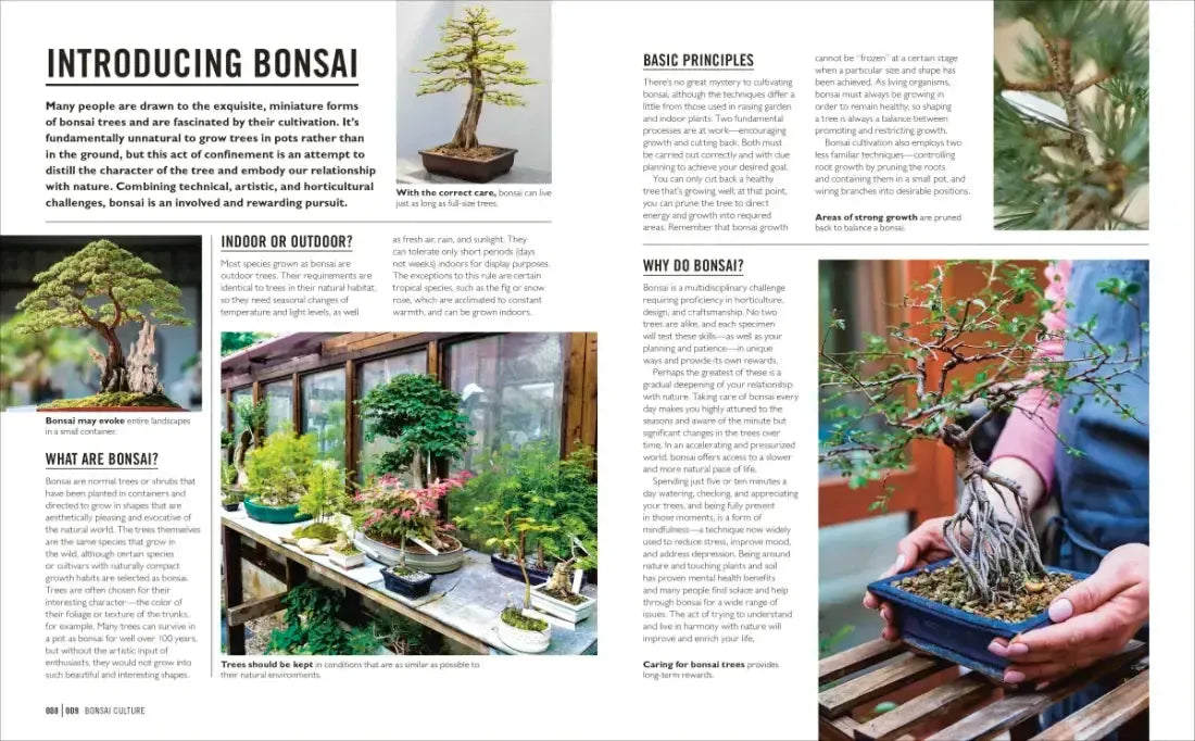 Grow Bonsai US - Paperback / softback