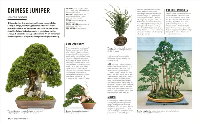 Grow Bonsai US - Paperback / softback