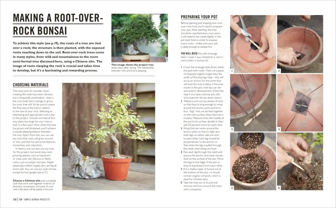 Grow Bonsai US - Paperback / softback