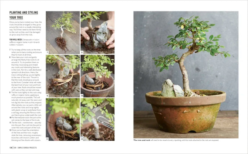 Grow Bonsai US - Paperback / softback