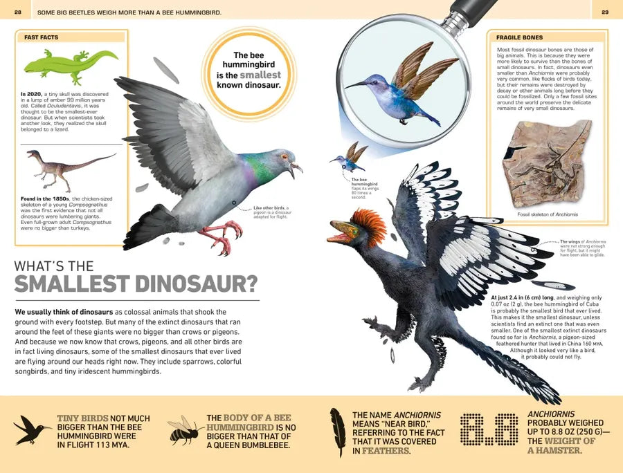 1,000 Amazing Dinosaurs Facts US - Paperback / softback