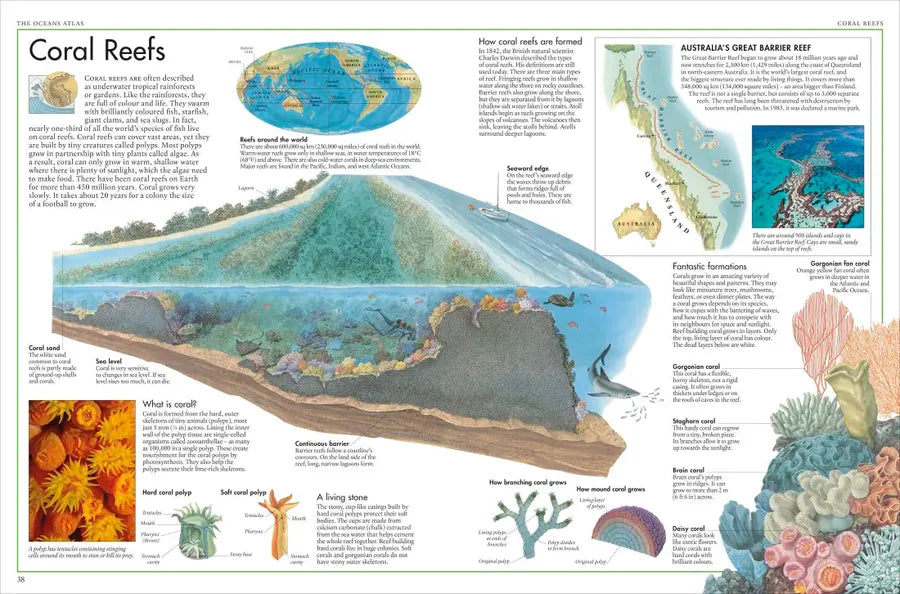 The Oceans Atlas US - Hardback