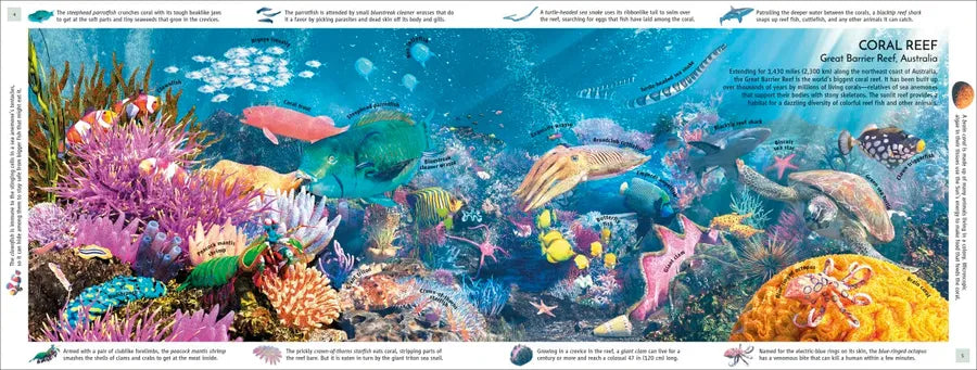 Habitats of the World US - Hardback
