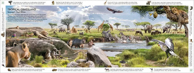 Habitats of the World US - Hardback