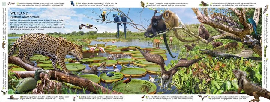 Habitats of the World US - Hardback