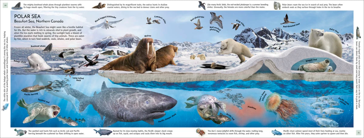 Habitats of the World US - Hardback