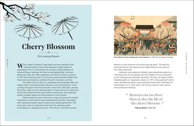 The Secret Language of Flowers US - Hardback