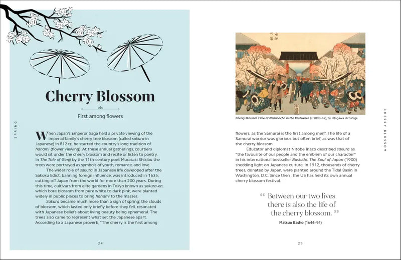 The Secret Language of Flowers US - Hardback