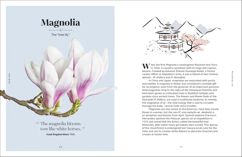 The Secret Language of Flowers US - Hardback