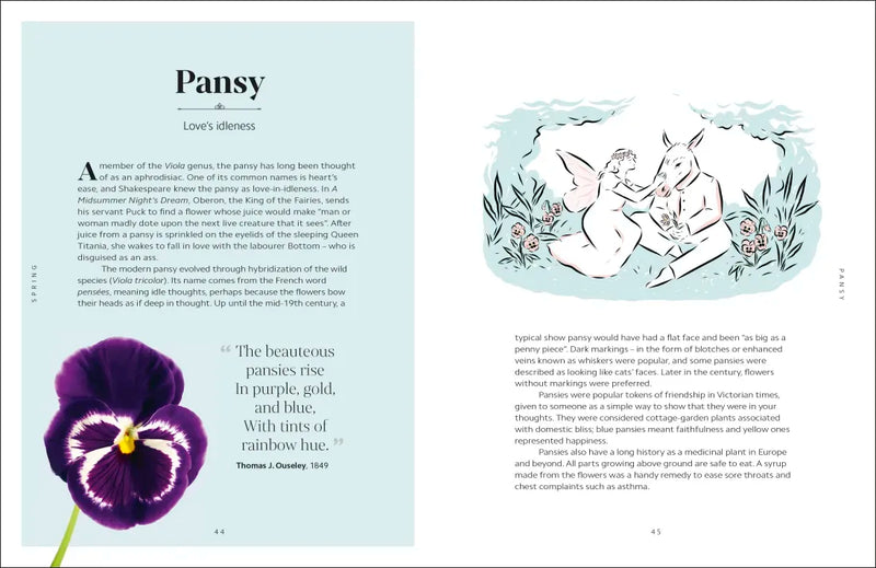 The Secret Language of Flowers US - Hardback