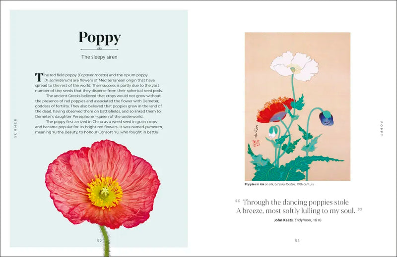 The Secret Language of Flowers US - Hardback