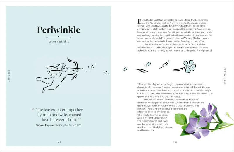 The Secret Language of Flowers US - Hardback