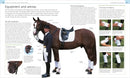 Complete Horse Riding Manual US - Hardback