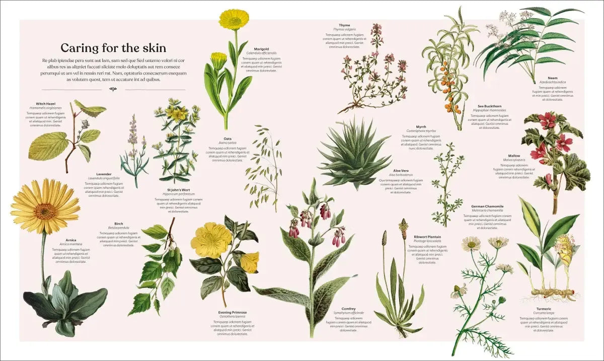 The Herb Book US - Hardback