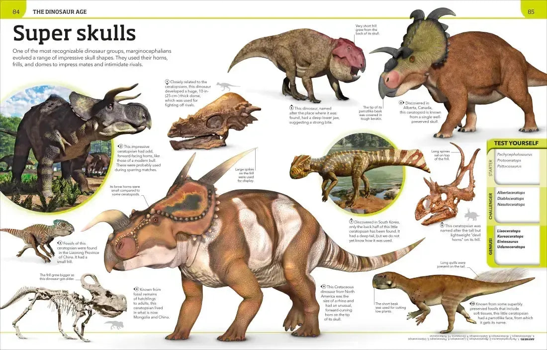 Dinosaur Knowledge Genius US - Hardback