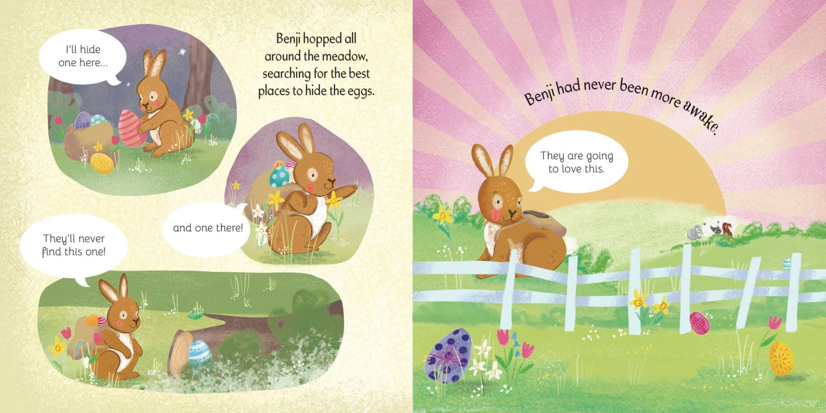 The Sleepy Bunny US - Board book