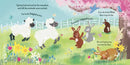 The Sleepy Bunny US - Board book