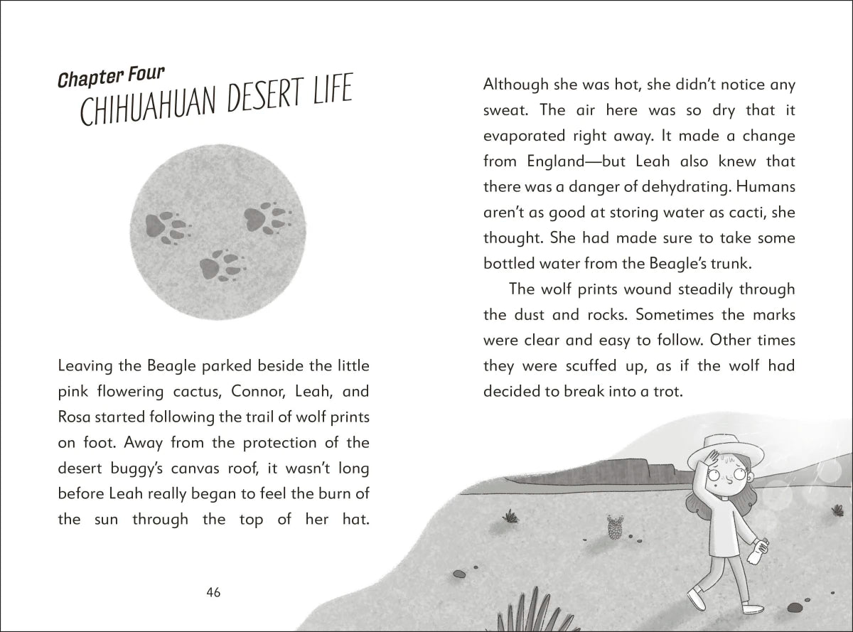 The Secret Explorers and the Desert Disappearance US - Paperback / softback