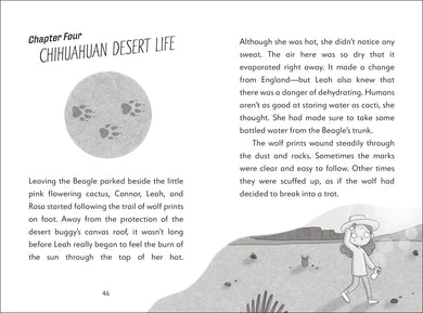 The Secret Explorers and the Desert Disappearance US - Paperback / softback