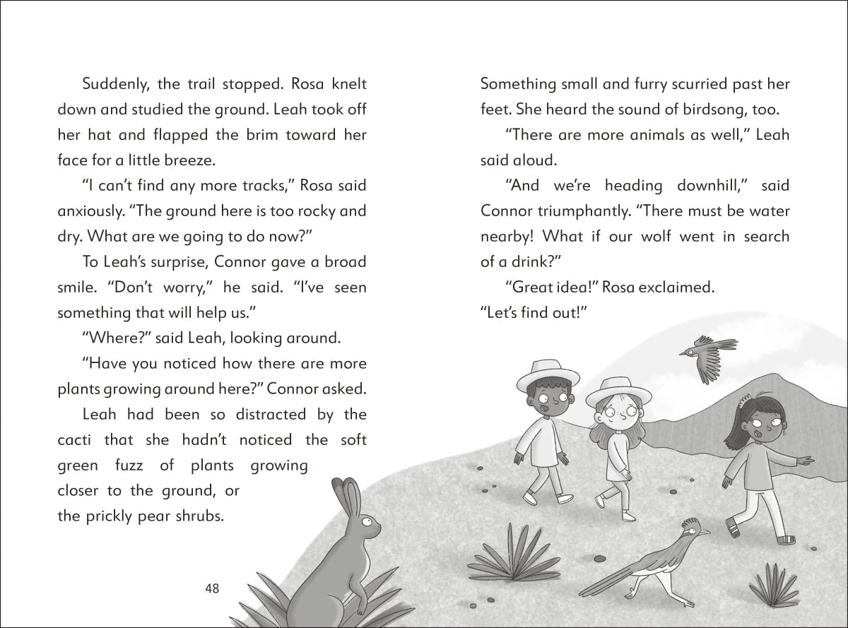 The Secret Explorers and the Desert Disappearance US - Paperback / softback